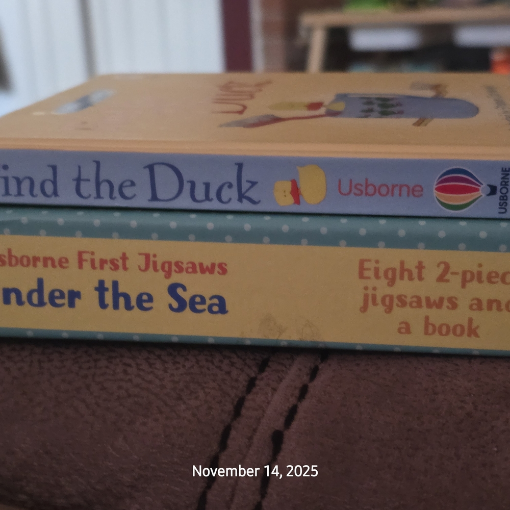 Usborne Children's Books Set